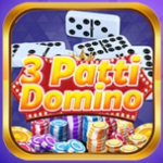 3 Patti Domino